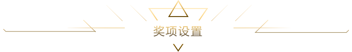 獎(jiǎng)項(xiàng)設(shè)置