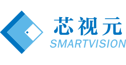 南京芯視元電子有限公司