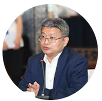 南京芯視元電子有限公司董事長 何 軍