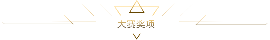 大賽獎(jiǎng)項(xiàng)