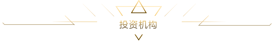 投資機(jī)構(gòu)