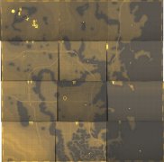 101453F62-0.gif