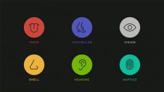 Oculus Research
