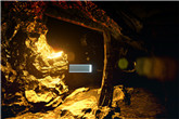 214601M21-0.png