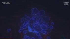 160501/1-160501001910226.png