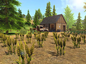 3-1P1111P12a35.jpg