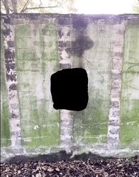 2022101810002017.gif