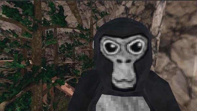 2023012004301754.jpg