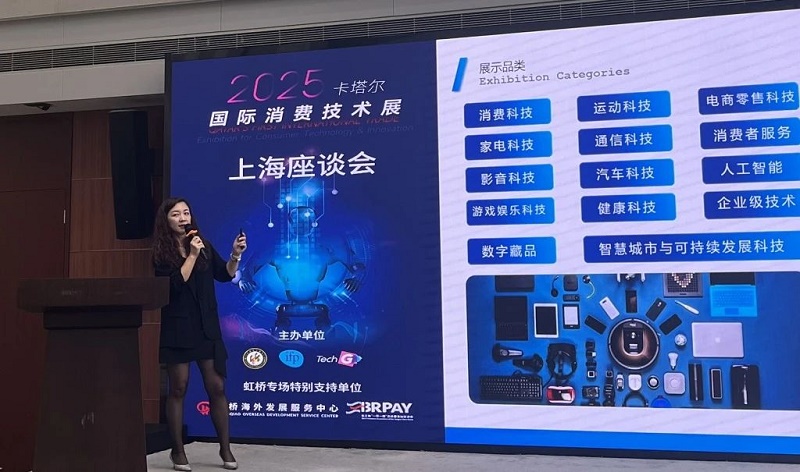 中國電子商會國際合作部主任丁靜