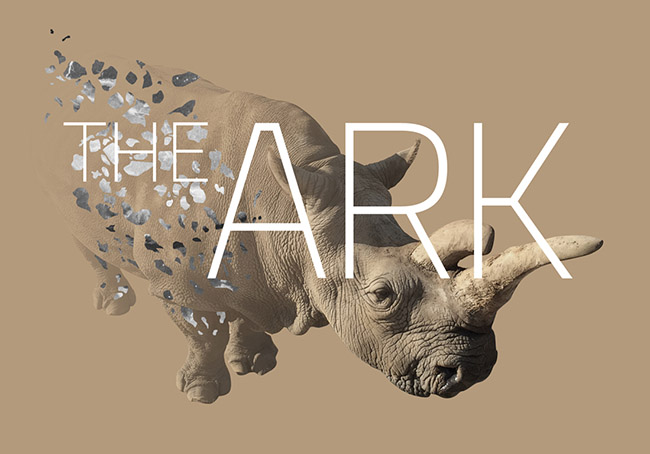 Ark_Logo_Web_1