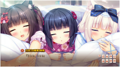 3-1606042346495c.png